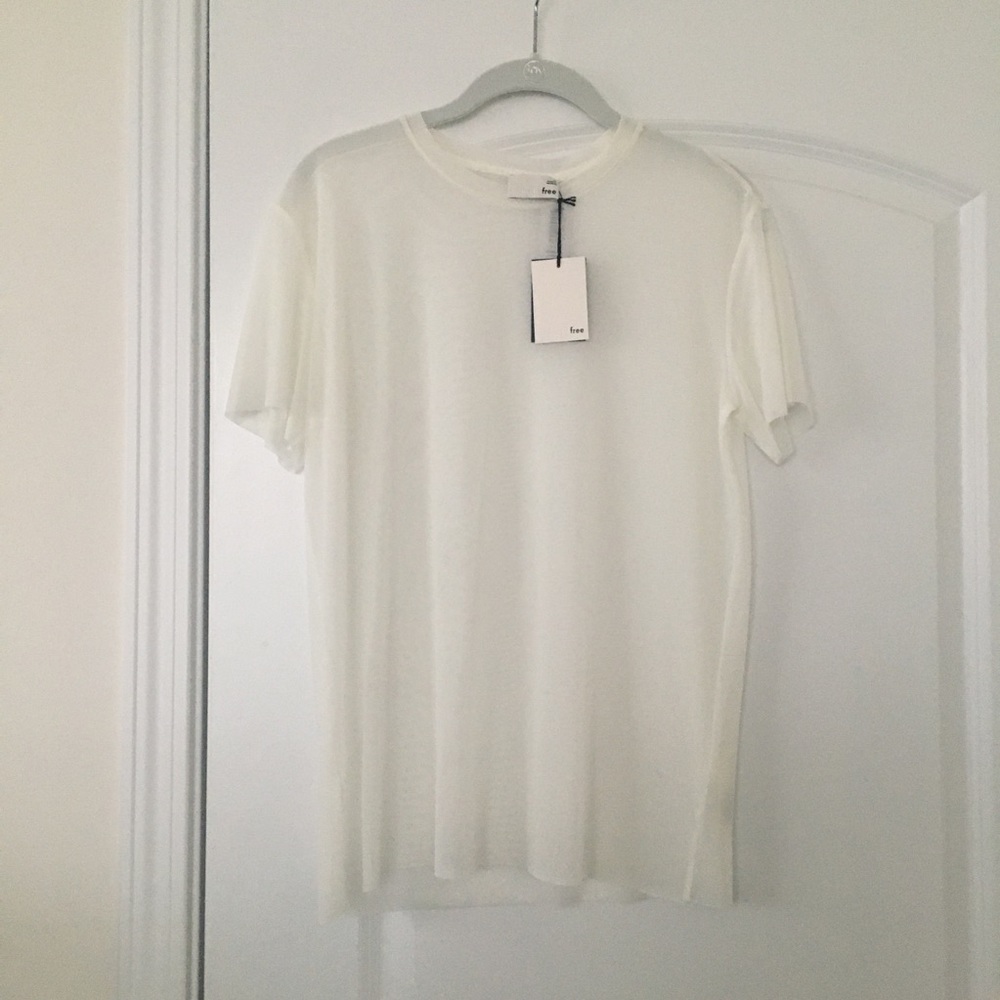 Aritzia sheer short sleeve top.